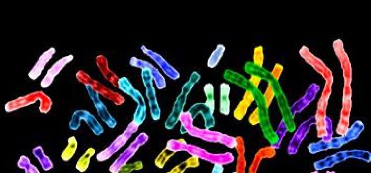 Что такое аллельные гены биологии определение