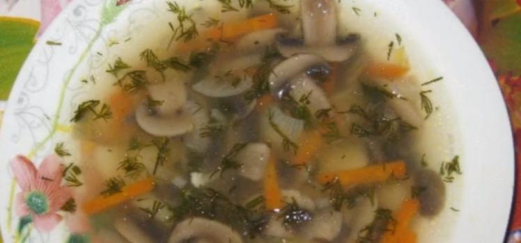 Грибной суп: самые вкусные рецепты супа из замороженных грибов Суп из грибов шампиньонов замороженных